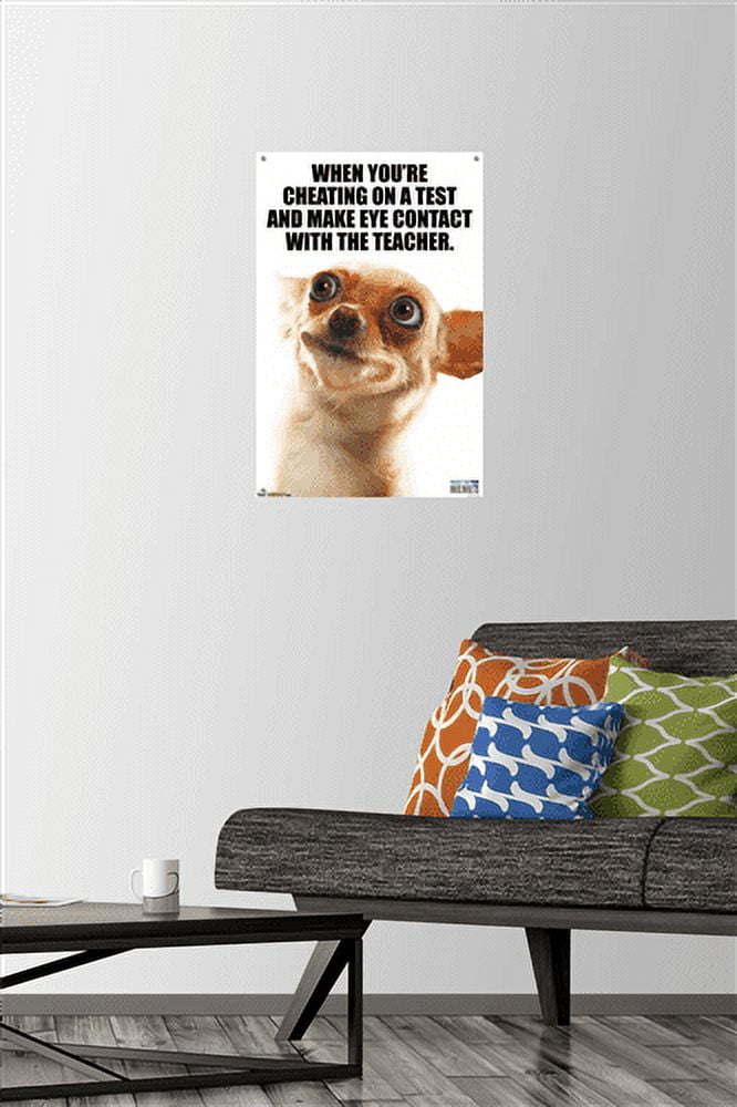 What Do You Meme - Eye Contact Wall Poster with Push Pins, 14.725" x 22.375"