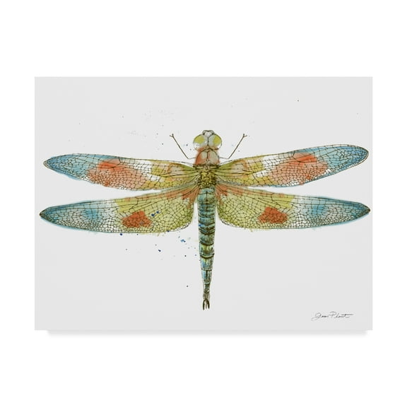 Trademark Fine Art 'Dragonfly Bliss 7' Canvas Art by Jean Plout