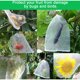 thumbnail image 4 of 50 PCS Bolsa de Protección de Frutas Bolsa de Malla para Insectos Bolsa de Protección de Plantas con Cordón Bolsas de Malla Antiinsectos Bolsa para Insectos 20X30cm para Uvas, Manzanas, Pájaros, 4 of 4