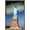 Barnwood Framed Version, variant on Trends International Landmarks - Statue Of Liberty Poster