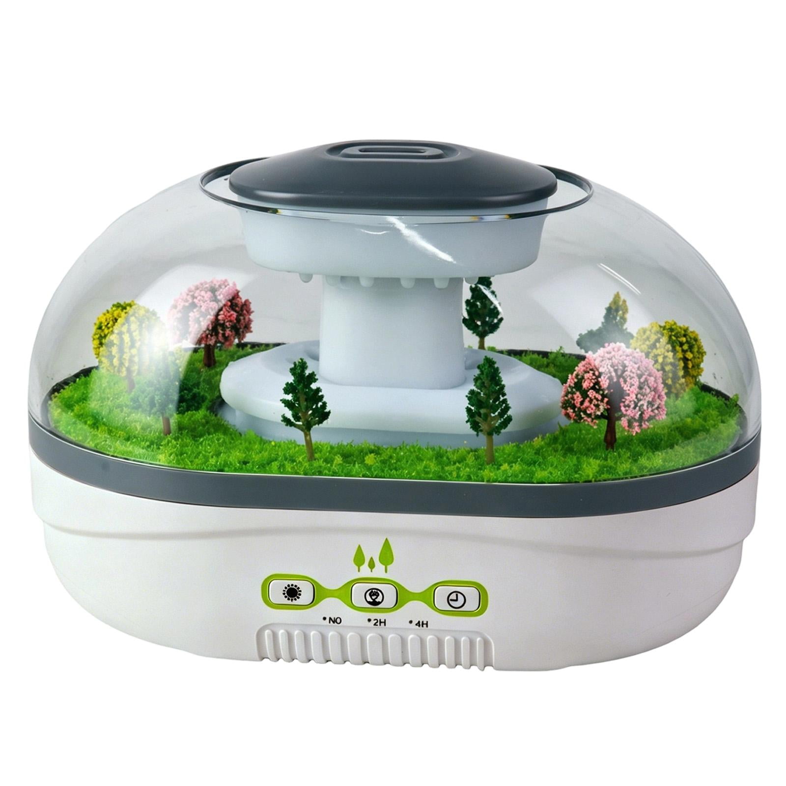 Cool Mist Humidifier with Essential Oil Diffuser and Miniature Garden Micro-Landscape Dome 1 Count Green and White for Office Desk Or Bedroom Miniature Garden Decoration