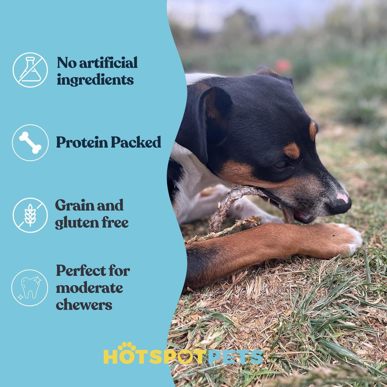 HotSpot Pets Bully Stick Rings for Dogs (5 Pack) - Premium All Natural Beef Pizzle Chew Treats - Grain Free