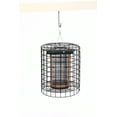 thumbnail image 2 of Birds Choice Double Suet Bird Feeder, 2 of 4