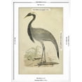 thumbnail image 5 of Art.com Morris Crane II Art Print, White Frame Wall Art, 21" x 29", 5 of 5