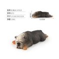 thumbnail image 2 of Modelo de mascota plástico realista vida silvestre animal niños niño figura juguete decoración del hogar regalo, 873 Inevent FN000219-03, 2 of 7