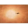 thumbnail image 2 of Murdock, Ramona 32x23 White Modern Wood Framed Museum Art Print Titled - Early Morning Flight, 2 of 4