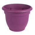 thumbnail image 1 of Bloem Ariana Self Watering Planter, 16", Passion Fruit, 1 of 1