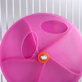 thumbnail image 3 of Balacoo Creative Parrot Wheel-like Feeder Bird Foraging Box Bowl Interactive Parrot Bird Chew Toys (Purple), 3 of 8