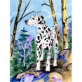 thumbnail image 1 of 11 x 15 in. Dalmatian Garden Size Flag, 1 of 1
