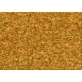 thumbnail image 1 of Ahgly Company Machine Washable Indoor Rectangle Transitional Mahogany Brown Area Rugs, 6' x 9', 1 of 7