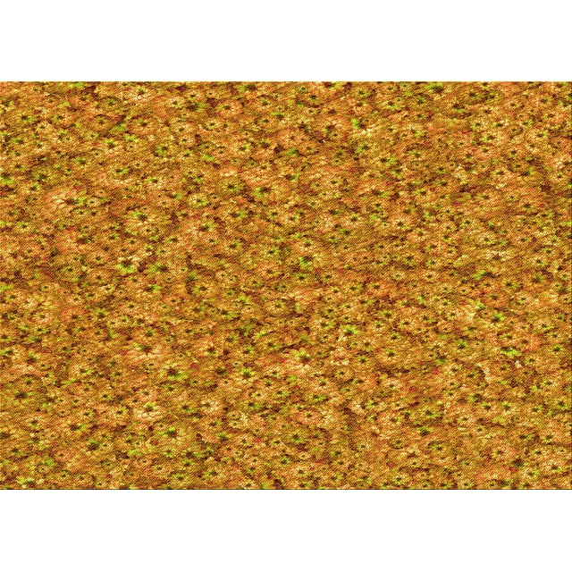 Ahgly Company Tapis d'Intérieur Lavables en Machine, Rectangle Transitionnel Brun Acajou, 4' x 6'