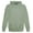 Vintage Green, variant on Hanes Men's and Big Men's Nano Premium Soft Lightweight Fleece Pullover Hoodie, Up to Size 3XL