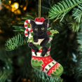 thumbnail image 3 of Acrylic Cute Cat Christmas, Xmas Ornaments, Christmas Tree Hanging, Tree Topper, 3 of 4