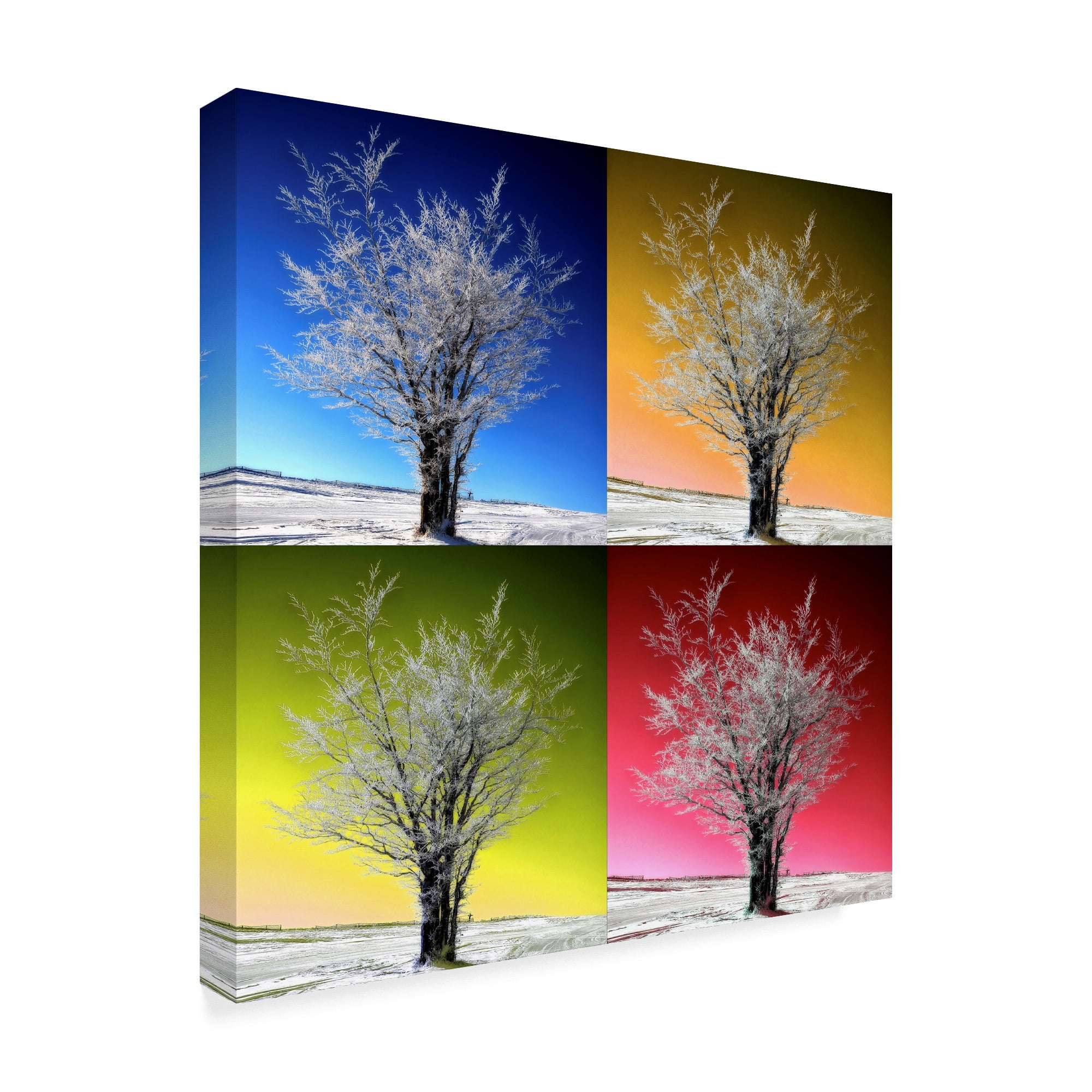 Trademark Fine Art 'Tree Color Panels' Canvas Art by Philippe Sainte-Laudy
