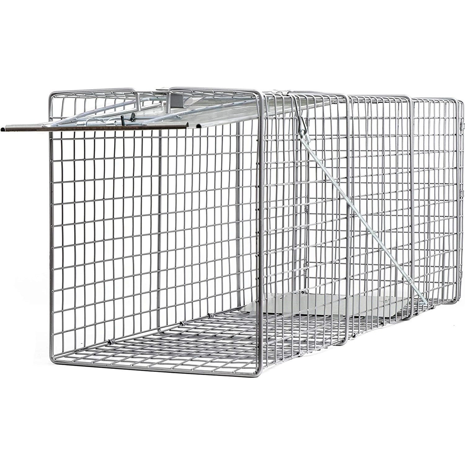 Animal Trap (32"x10"x12") Best Humane Animal Live Trap for Possum