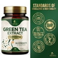 thumbnail image 4 of Green Tea Extract Capsules 1000 mg - Standardized 45% EGCG & 98% Polyphenols - 3X Strength Green Tea Pills for Natural Energy - Supports Heart Health, Herbal Supplement, Vegan, Non-GMO - 120 Capsules, 4 of 10