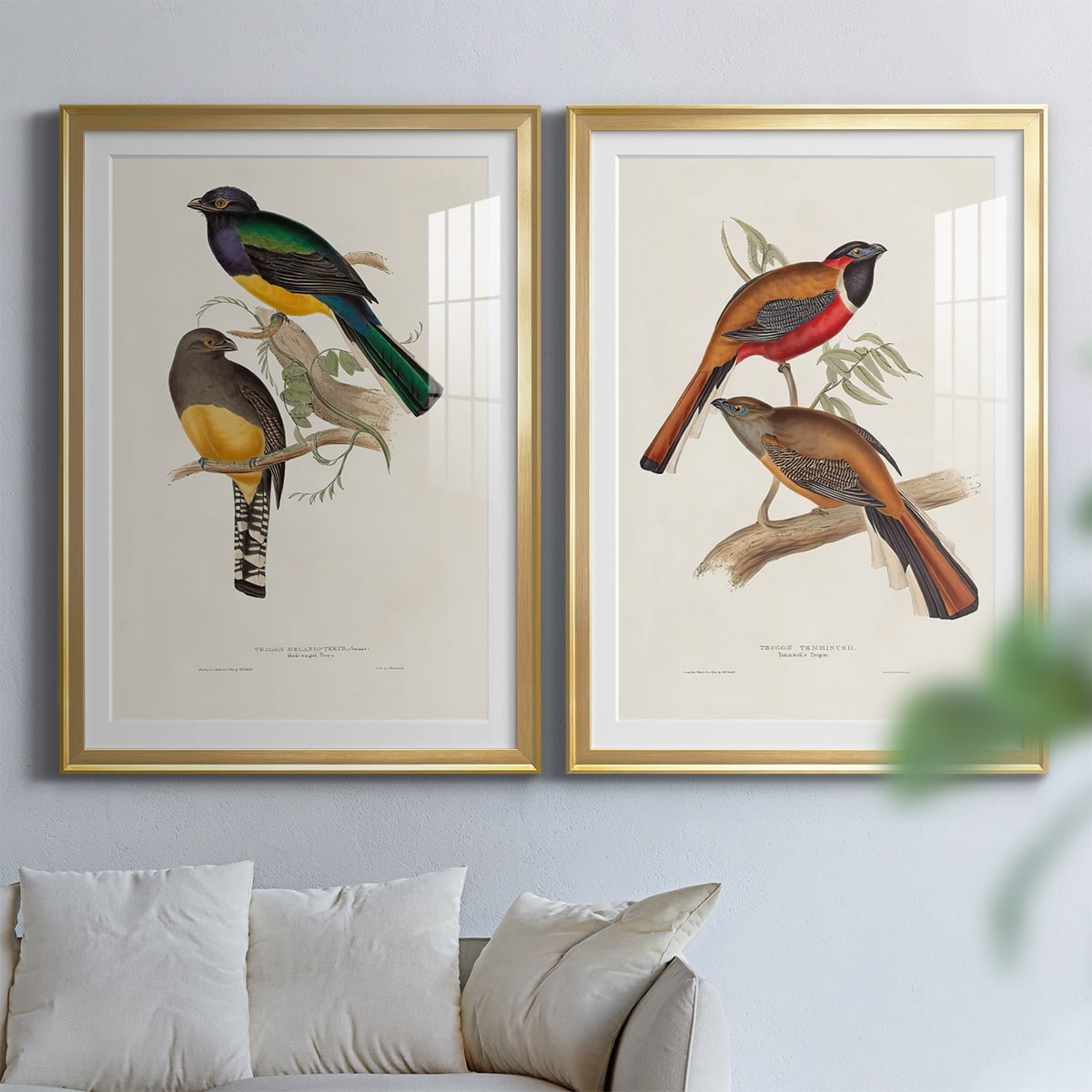 Wexford Home Elegant Trogons III Premium Framed Print, 26.5" x 36.5" - Ready to Hang, Gold (Set of 2)