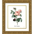 thumbnail image 1 of Sophie 6 12x14 Gold Ornate Wood Framed with Double Matting Museum Art Print Titled - Rose Centifolia, 1 of 4