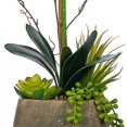 thumbnail image 5 of Vanity Art Phalaenopsis Orchid Floral Arrangement in Decorative Cement Pot | Single-stem Artificial Real Touch Silk Orchid home decor with Succulents in Grey Cement Pot, MLTAO-1007SS, 5 of 7