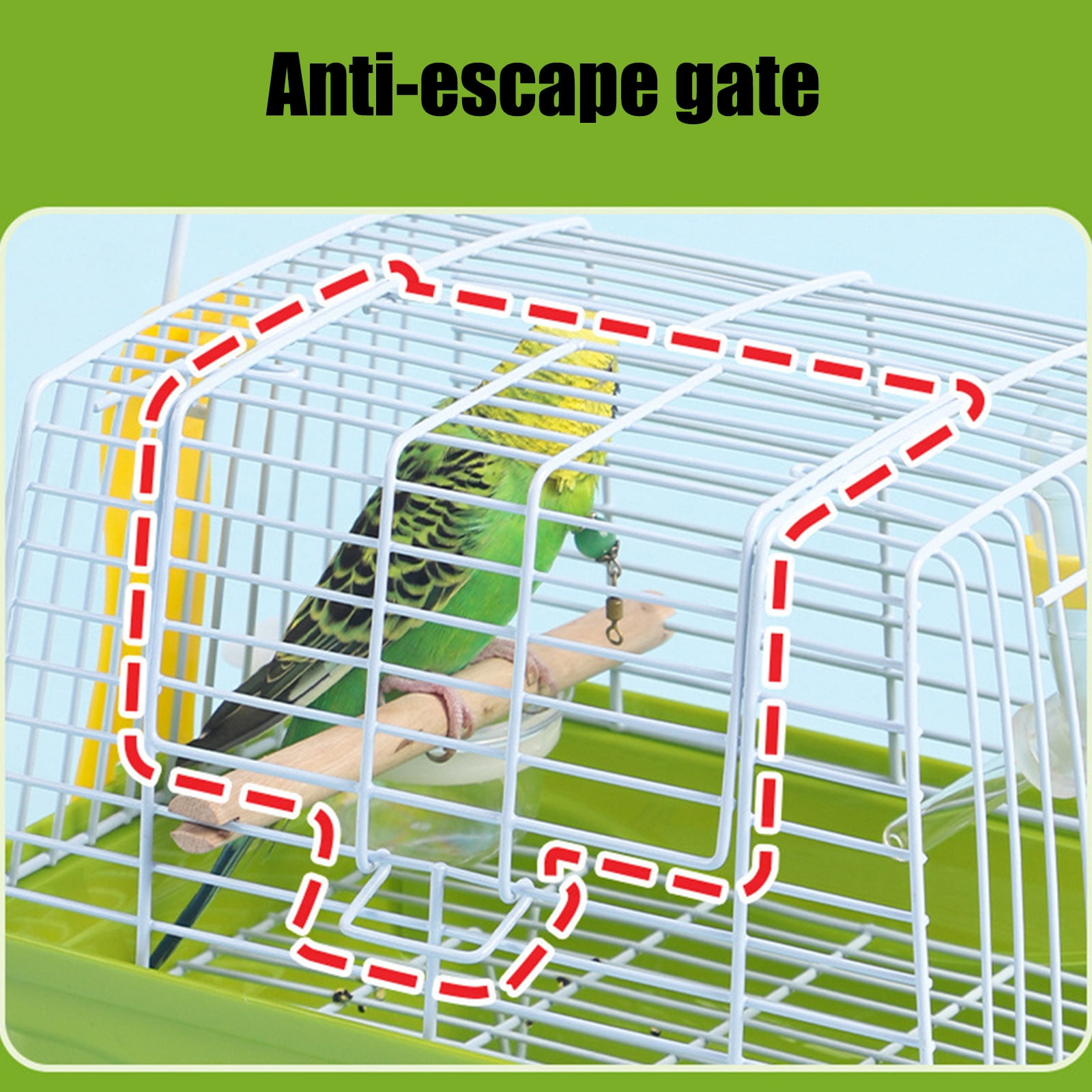 Outdoor Ready Bird Carriers Cage for Small Birds Travel and Adventure