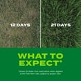 thumbnail image 4 of Scotts Turf Builder Rapid Grass Sun and Shade Mix, 2.4 lb., Seed & Fertilizer, 4 of 10