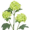 thumbnail image 3 of Mainstays Artificial Snowball Long Stem, 3 of 5