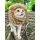 thumbnail image 4 of Cojín de Cabeza de León para Gatos Sombrero para Mascotas Adorno de Tocado Divertido, 4 of 9