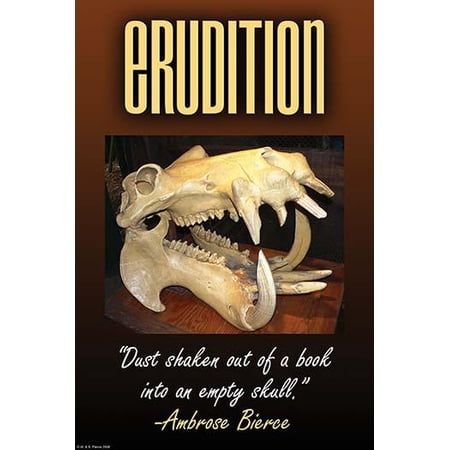 Erudition- Fine Art Canvas Print (20" x 30")