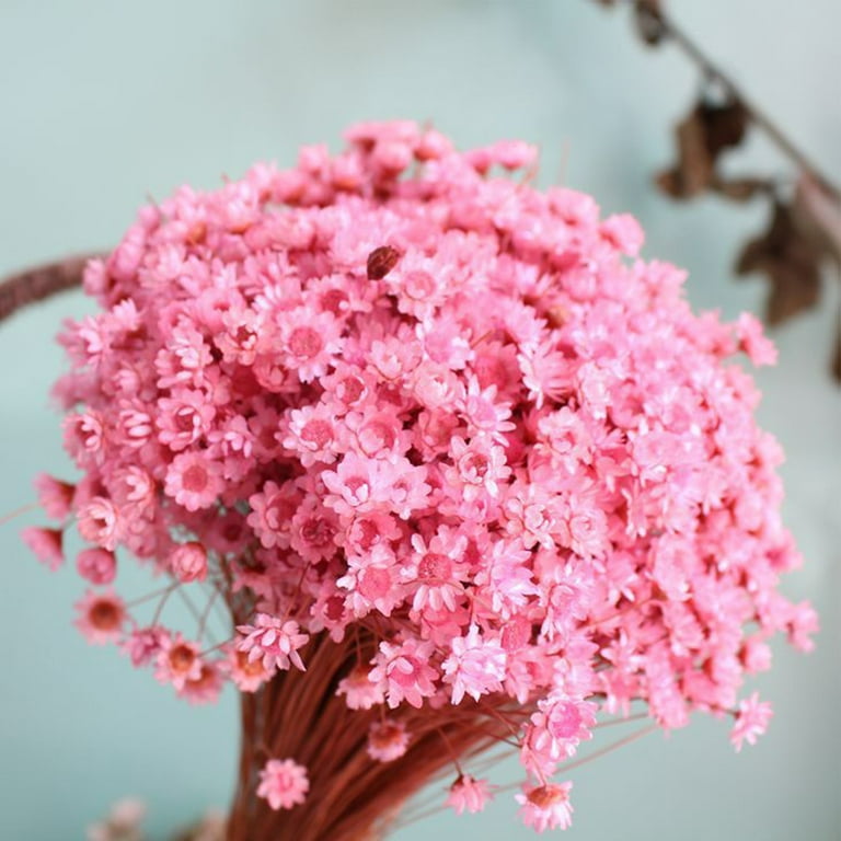 Bobasndm Gypsophila Bouquets Realistic 30Pcs Multi-Colour Baby Breath  Flowers Bouquets Exquisite Charming for DIY Decor