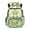 Avocado Frog, variant on Skateboard Turtle Boys Backpack, 17 Inch Lightweight Multi-Pocket Purse, Fits 15.6 Laptop Adjustable Straps Green Shell Bookbag for Primary Middle School Back to School