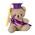 thumbnail image 4 of Stuffed Bear in Graduation Hat Bachelors Graduation Hat Commencements Gift Graduation Bear Toy, 4 of 8