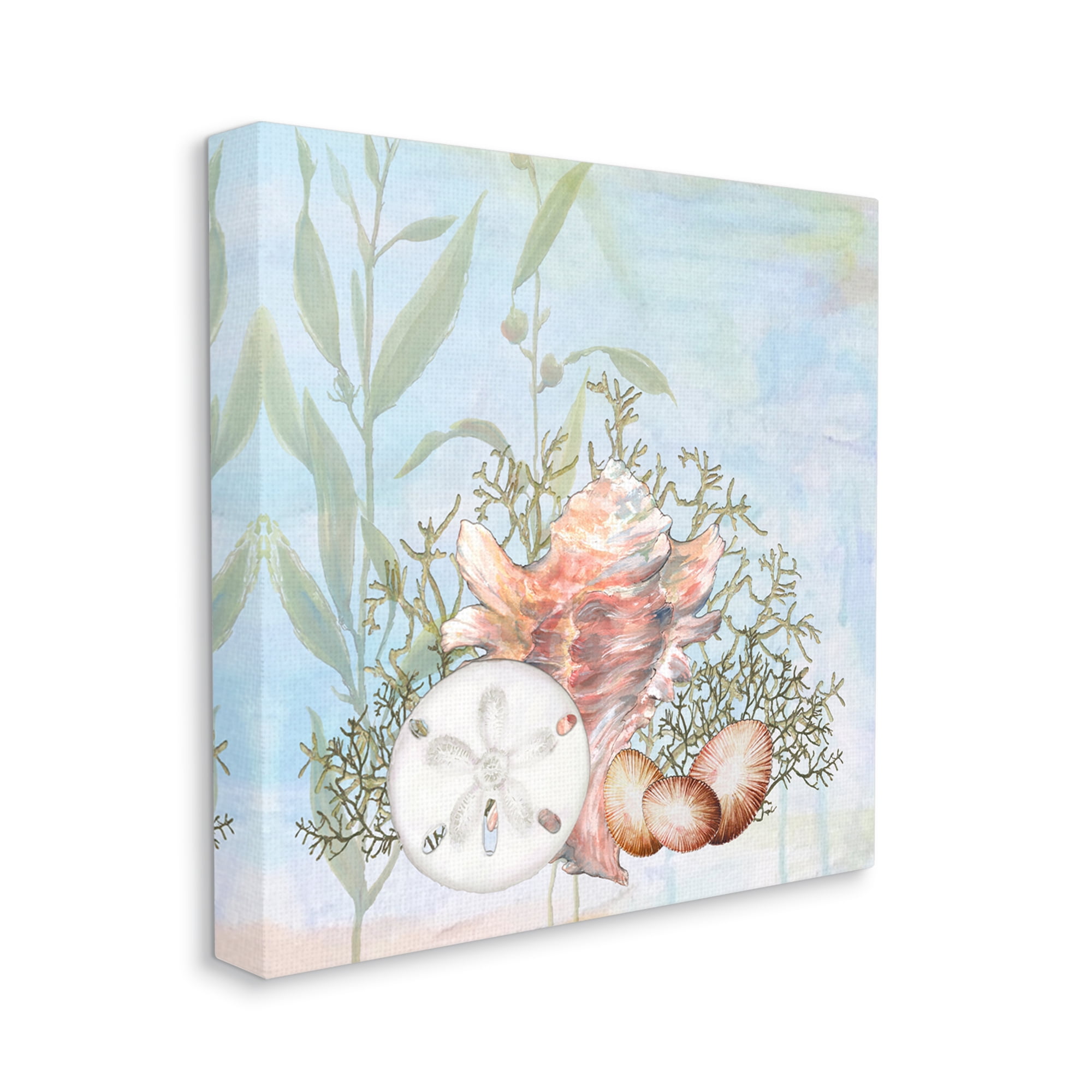 Stupell Industries Sea Life Coral Seashells Botanicals Underwater Ocean Canvas Wall Art, 30 x 30, Design by Diannart