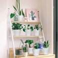 thumbnail image 4 of 6PCS Plastic Green Vines Pot Keep Your Desktop Clean with Tray Design for Outdoor Orchid Plants Flower, 4 of 5