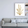 thumbnail image 3 of Trademark Fine Art 'Pacific Sea Mosses III Gold Crop' Canvas Art by Wild Apple Portfolio, 3 of 3