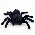 thumbnail image 5 of Llavero decorativo con forma de araña, juguete de adorno, recuerdo para estudiantes., 5 of 5