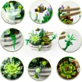 thumbnail image 2 of Mini conjunto de bloques de construcción de bonsái suculento, Kit de colección botánica de plantas suculentas para adultos, decoración del hogar, no compatible con Lego kaili Sencillez, 2 of 5