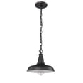 thumbnail image 3 of Millennium Lighting  1 Light Outdoor Pendant Light Fixture Powder Coat Black, 3 of 4