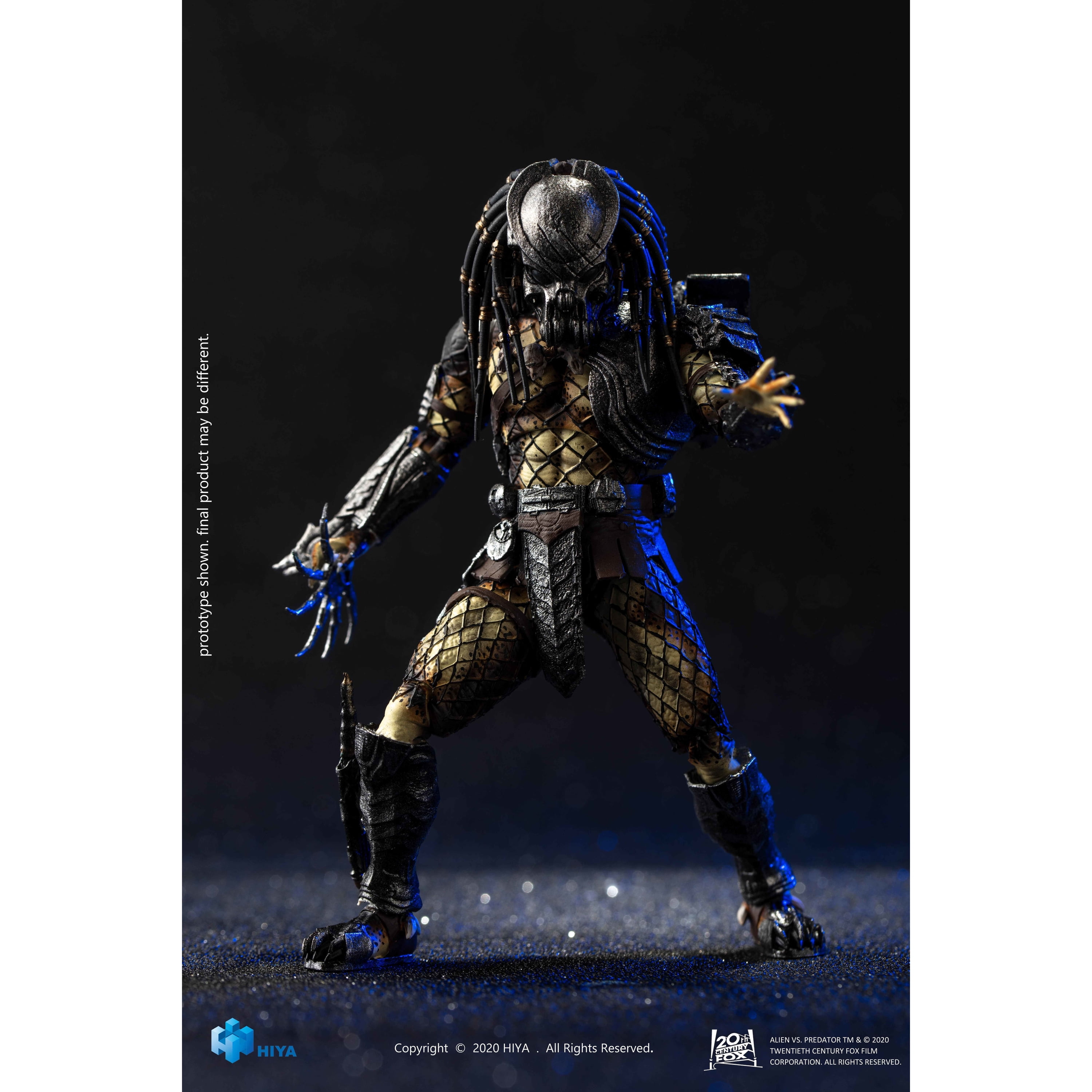 willinckii cv predator pup ⑥ 05252053-6804-45f8-81f9-