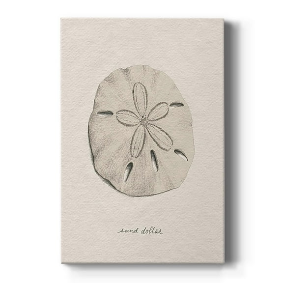 Shore Treasure Study III Premium Gallery Wrapped Canvas - Ready to Hang