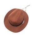thumbnail image 3 of LITINKIMI Pet Hat Coffee Color Soft Material Comfortable for Dog and Cat Photo Prop, 3 of 6