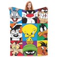 thumbnail image 2 of Looney Tunes Cartoons Blanket Super Soft Cozy Throw Blanket Fuzzy Comfy Flannel Blanket Warm Plush Blankets For Couch, Sofa, Bed 50"X40", 2 of 8