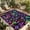 Black, variant on Purple Green Mushroom Outdoor Rug for Patio/Deck/Porch, Non-Slip Large Area Rug 5 x 7 Ft, Abstract Art Botanical Gradient Indoor Outdoor Rugs Washable Area Rugs, Reversible Camping Rug Carpet Runner