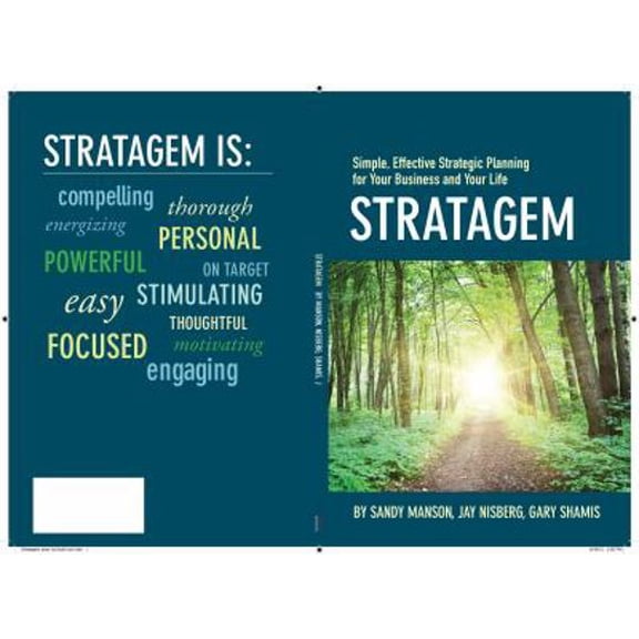 Pre-Owned Stratagem: Simple, Effective Strategic Planning for Your Business and Your Life (Paperback) 0988962268 9780988962262