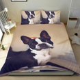 thumbnail image 1 of Boston Terrier Conjunto de sábanas temático, trío de piezas, cómodo y amigable con la piel, diseño único, regalo de decoración para el hogar para familiares, amigos y fans, 90 cm * 190 cm, 1 of 6