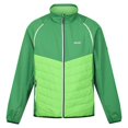 thumbnail image 1 of Regatta - Chaqueta Softshell Steren Hybrid para Hombre (Campo Verde, Verde Jasmín), 1 of 5