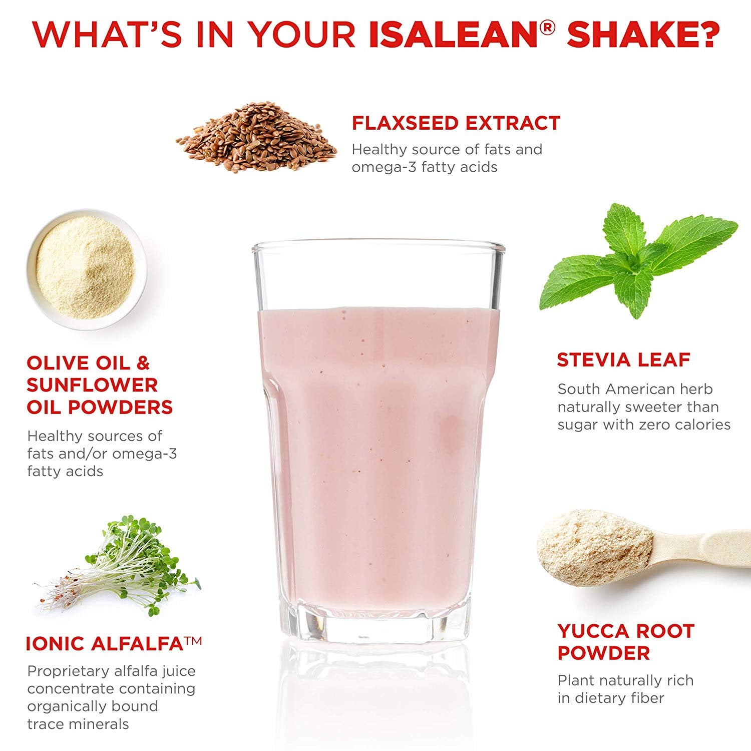 Isagenix IsaLean Shake - Nutrient-Dense Protein Powder for Ready-to-Drink  Shake - Strawberry Cream, 14 Packets