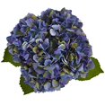 thumbnail image 2 of Nearly Natural 1448-BL Hydrangea in New Baby Ceramic, Blue, 2 of 2