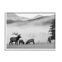Stupell Industries Foggy Rural Deer Grazing Photograph White Framed Art Print Wall Art, Design by Danita Delimont