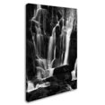 thumbnail image 3 of Trademark Fine Art "White Waterfall" Canvas Art by Philippe Sainte-Laudy, 3 of 4