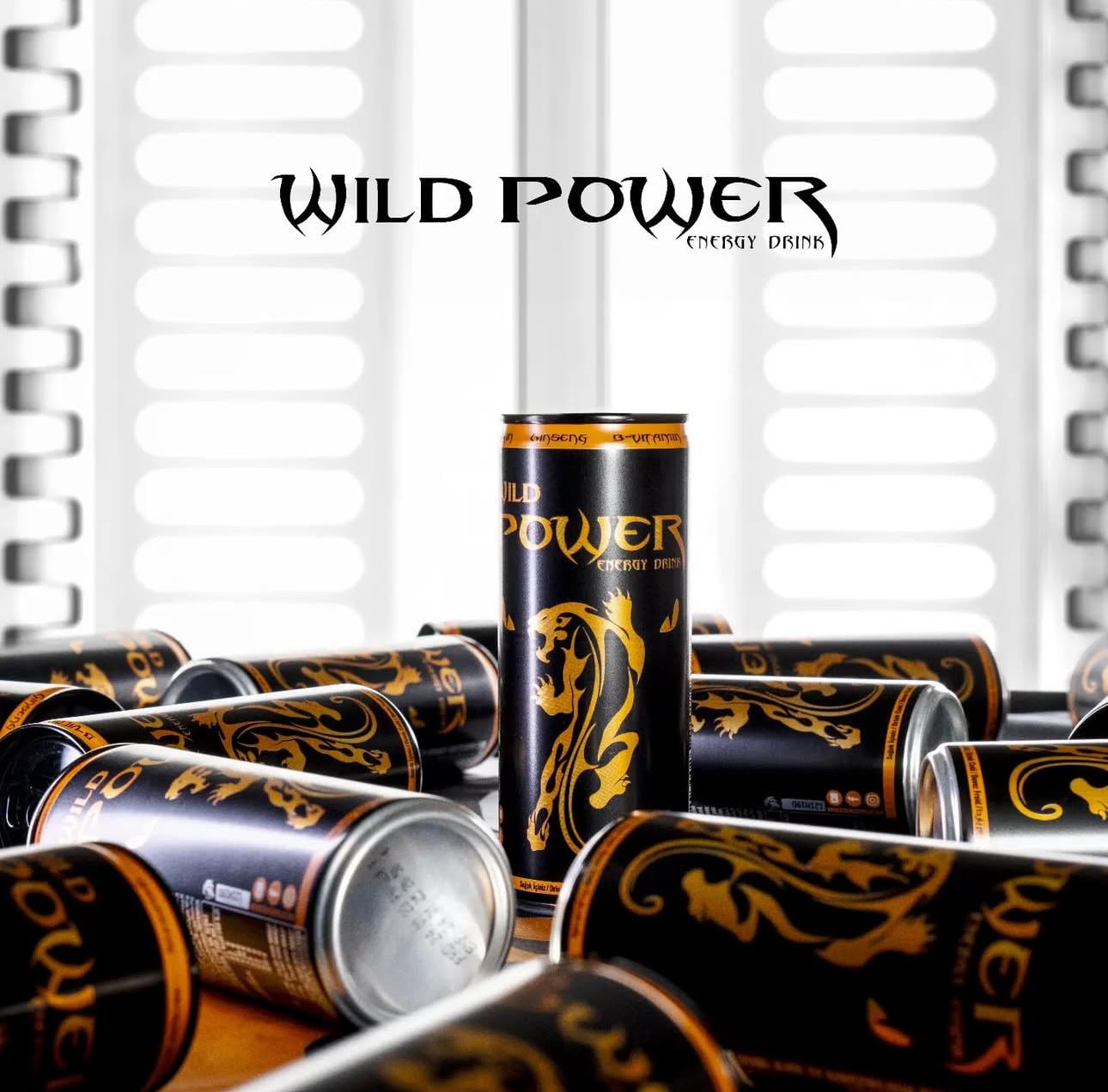 WILD POWER Energy Drink Quick Energy Booster 24 Pack 8.4 fl oz